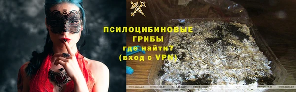 крисы Кодинск
