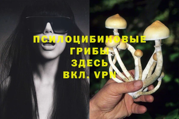 МДМА Коряжма