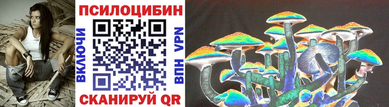 Псилоцибиновые грибы Magic Shrooms  наркота  Малгобек 
