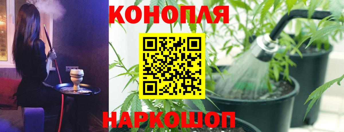 Бошки Шишки VHQ  Бошки марихуана гибрид  Вход с VPN  Малгобек  Марихуана гибрид 